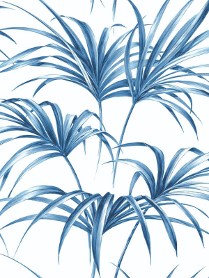 Tropical Palm Leaf Peel-and-stick Wallpaper In Coastal Blue By Nextwall