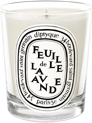 Feuille De Lavande (lavender Leaf) Candle