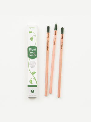 Sprout Pencils