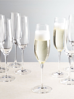 Viv Champagne Glasses, Set Of 8