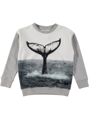 Molo Morell Seatshirt - Whale Tail