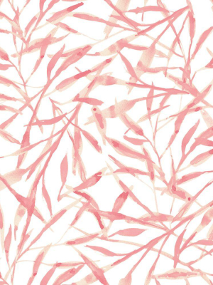 Watercolor Leaves Self-adhesive Wallpaper (single Roll) In Rosewater By Tempaper