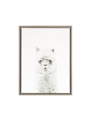 24" X 18" Hairy Alpaca Framed Canvas Art - Uniek