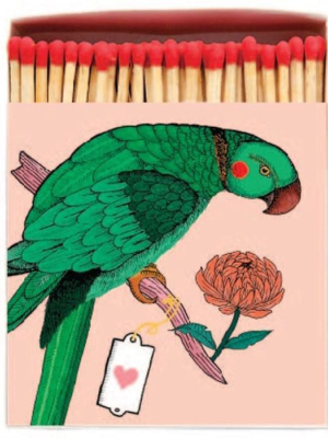 Parrot Matchbox