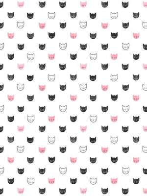 Miss Kitty