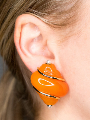 Amber Shell Clip Earrings