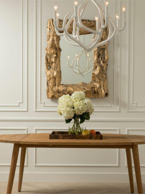 Milo Mirror Antique Gold Leaf Driftwood