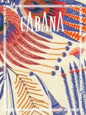 Dries Van Noten Limited Edition Cabana N10 & Anthology