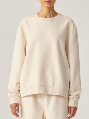 100% Organic Cotton Sweater In Bone - Mens