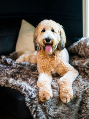 Waterproof Faux Fur Throw Blanket