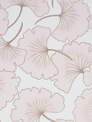 Begonia Wallpaper In Pink From The Capsule Collection By Graham & Brown