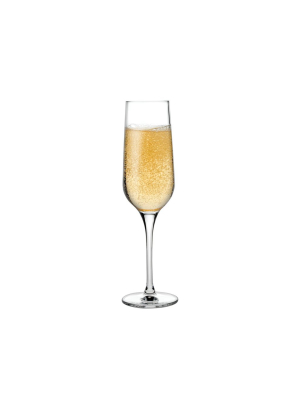 Refine Set Of 2 Champagne Glasses