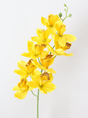 Silk Cymbidium Orchid In Golden Yellow - 30"