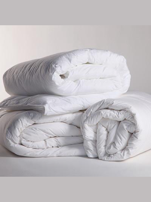 Winter Weight Duvet Insert