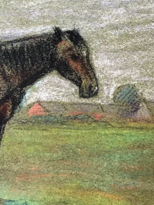 Evert Rabbers Framed Horse Drawing