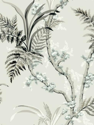 Enchanted Fern Wallpaper In Grey And Beige From The Grandmillennial Collection By York Wallcoverings