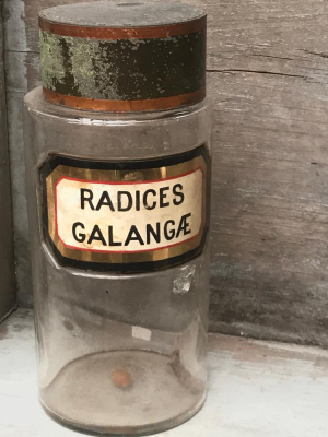 19th Century Apothecary Jar - Radices Glangæ