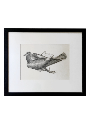 Olga Sears Bird Drawing #1