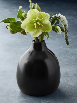 Open Kitchen By Williams Sonoma Bud Vases