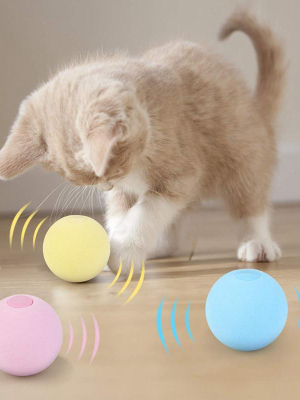 Cat Playing Ball (squeaky)