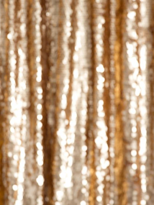 Out Of Focus Goldie