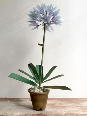 The Green Vase Potted Allium