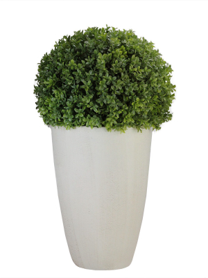 Northlight 27" Boxwood Artificial Plant Potted In Ceramic Pot - Green/white