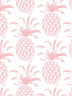 Pina Sola Wallpaper In Rosa Design By Aimee Wilder