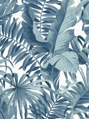 Alfresco Tropical Palm Wallpaper In Blue From The Pacifica Collection By Brewster Home Fashions