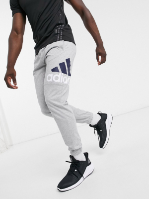 Adidas Sweatpants In Gray With Logo