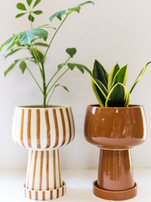 Kaya 3-piece Ceramic Planter By Justina Blakeney™