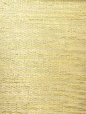 Sisal Wallpaper In Ivory And Gold From The Winds Of The Asian Pacific Collection By Burke Decor