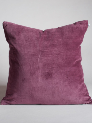 Velvetone Pillow - Prince