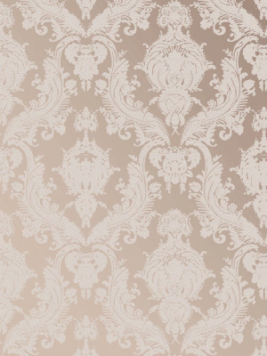 Damsel Textured Self Adhesive Wallpaper In Bisque Design By Tempaper