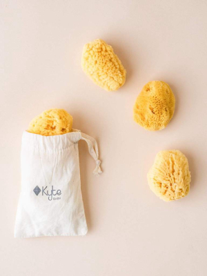 Face Sea Sponge - 4 Pack Bundle