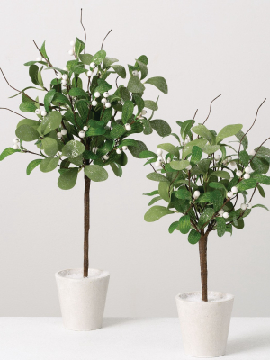 Sullivans Artificial Set Of 2 Mistletoe Topiaries 24"h & 18"h Green