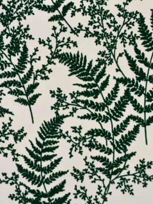 Forest Fern Wallpaper