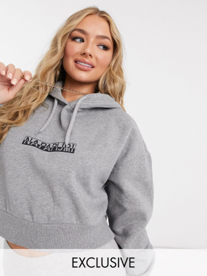 Napapijri Box Cropped Hoodie In Gray- Exclusive At Asos