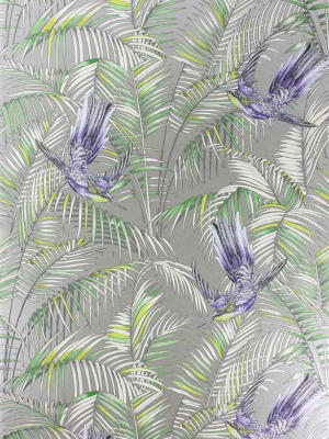 Sunbird Wallpaper In Metallic Pebble And Blue By Matthew Williamson For Osborne & Little