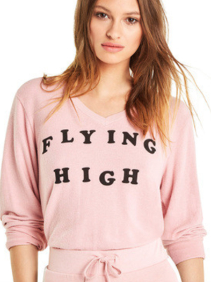 Wildfox Flying High Baggy Beach V Sweater
