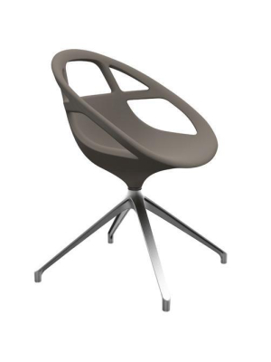 Lola Spider Chair By Casprini