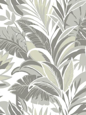 Palm Silhouette Wallpaper In Grey And White From The Conservatory Collection By York Wallcoverings