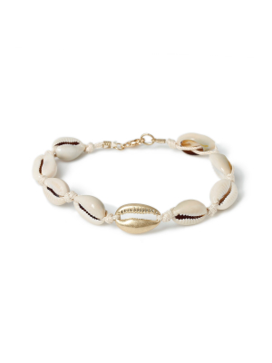 Shell Bracelet*