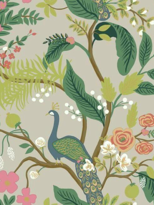 Peacock Wallpaper In Linen From The Rifle Paper Co. Collection By York Wallcoverings