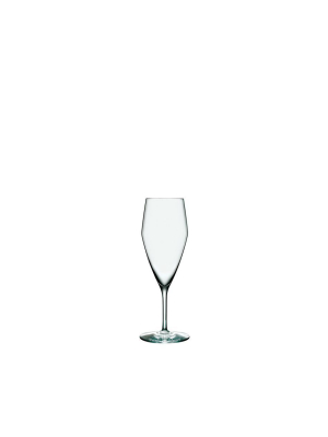 Perfection Champagne Glass (set Of 6)