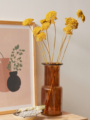 Dried Yarrow Bunch