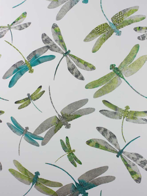 Sample Dragonfly Dance Wallpaper In Green And Gray From The Samana Collection By Matthew Williamson