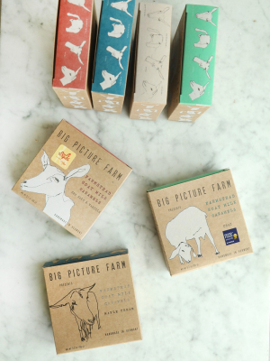 Big Picture Farm Caramels Farmbox Gift Set