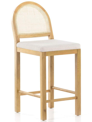 Allegra Counter Stool, Honey Oak