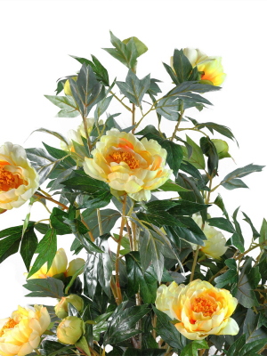 Northlight 5.5' Yellow And Green Artificial Peony Flower Potted Tree